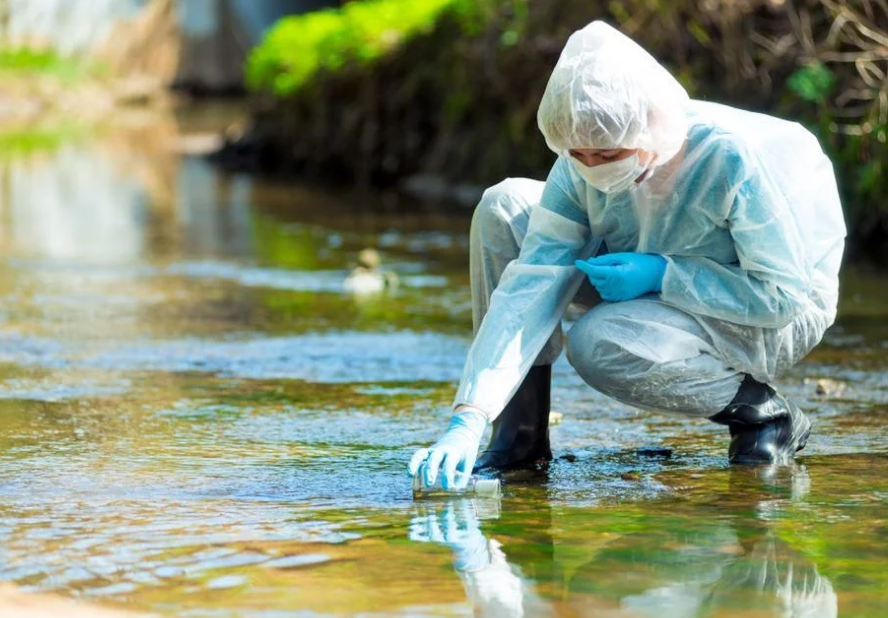 Economics of Pollution Control
